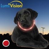 LumiVision  AKKU Leuchthalsband mit roten LED 70 cm