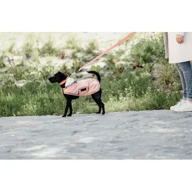 Kentucky Hundemantel Dusty Blue XXS
