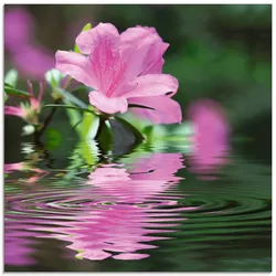 Glasbild ARTLAND "Azalee", pink (farbe bild(er): pink), B:30cm H:30cm, Bilder, in verschiedenen Größen