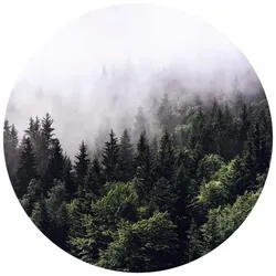 K&L Wall Art Vliestapete »Runde Vliestapete«, Nebel Wald Tannenwald, mehrfarbig, matt - bunt
