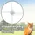 Trixie Schutznetz Katzennetz 3 x 2 m transparent