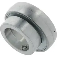 INA Spannlager GRAE50 NPPBFA125.5