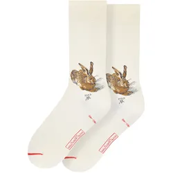 MuseARTa Unisex Socken Albrecht Dürer - Young Hare