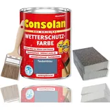 Consolan Wetterschutzfarbe Set 2,5 l Holzfarbe Dauerschutz Deckend mit Zubehör (Taubenblau)