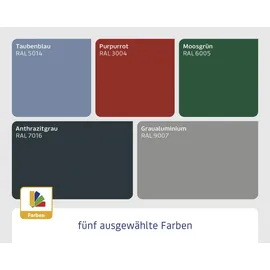 EcoStar Elegant-P Typ 1 2,48 x 1,53 x 2,29 m purpurrot