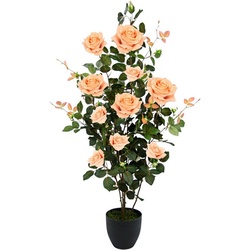 Kunstbaum Rosenbusch im Topf, I.GE.A., Höhe 115 cm, Kunstrosen Kunstpflanzen Rosenstrauch Deko Hochzeit orange