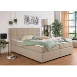 Home Affaire Ovalo 194 x 210 cm H2 Beige