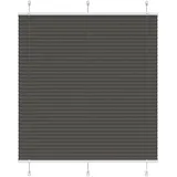 vidaXL Plissee 120 x 150 cm schwarz