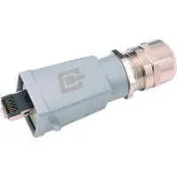 Telegärtner STX V5 RJ45-Steckerset Variante 5 100007468 Stecker, gerade