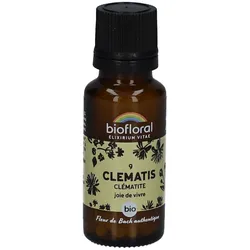 Biofloral Clematis - Waldrebe - Bio