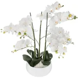 Atmosphera - Orchideen-übertopf, Keramik, Weiß, Orchidee, D. 25 X H. 65 Cm