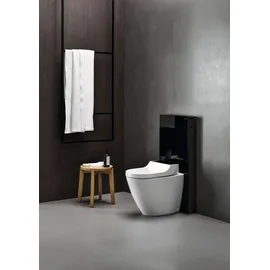 Geberit AquaClean (146310SJ1)