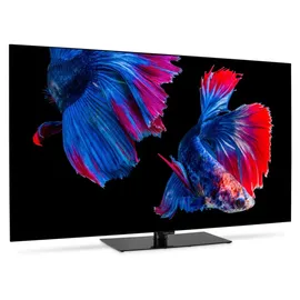 Medion X8552508 (MD 855901) 55" OLED Smart TV