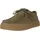 Olive 43
