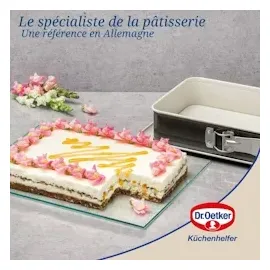 Dr. Oetker 4860 Springform