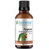Pygeum Pygeum africanum Tropfen Tinktur 50 ml