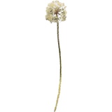 Hti-Living HTI-Living, Kunstpflanzen, Kunstblume Pusteblume (91 cm)