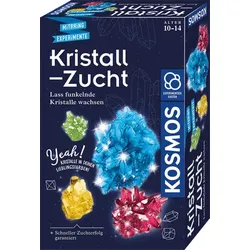 Kristall-Zucht - Lass funkelnde Kristalle wachsen