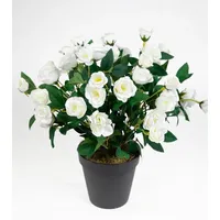 Seidenblumen Roß Rosenbusch 30cm weiß im Topf ZF Kunstpflanzen