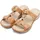 ARA Hawaii 43