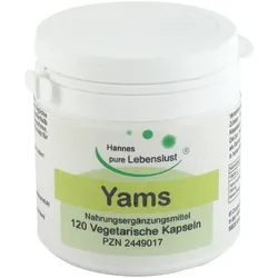 Yams Wurzel