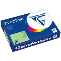 Clairefontaine Kopierpapier 1777PC A4 80g grün 500 Blatt