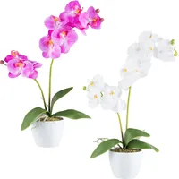 Creativ green Kunstorchidee »Orchidee Phalaenopsis«, mit real-touch-Blüten weiß