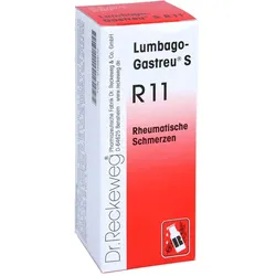 Lumbago-gastreu S R11 Mischung