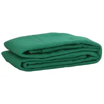 vidaXL Anhängernetz Grün 3,5 x 7 m HDPE