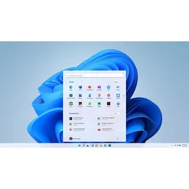 Microsoft Windows 11 Home IT