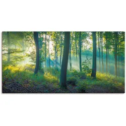 Wandbild ARTLAND "Wald Panorama", grün (farbe bild(er): grün), B:100cm H:50cm, Bilder, als Alubild, Outdoorbild, Leinwandbild, Poster, Wandaufkleber