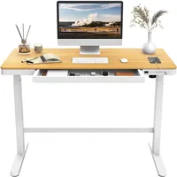 FLEXISPOT Elektrisch Höhenverstellbarer Schreibtisch 120cmx60cm mit Schublade, Touch-Funktion und USB, Elektrischer Schreibtisch (Ahorn)