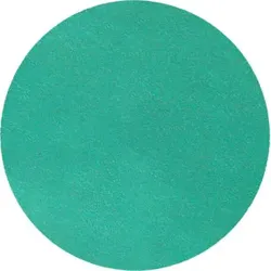 Klingspor FP 77 K Scheiben kletthaftend wirkstoffbeschichtet, 125 mm Korn 240