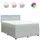 vidaXL Boxspringbett 140 x 200 cm Hellgrau