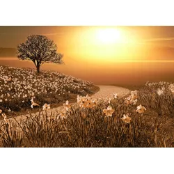 Fototapete PAPERMOON "Magische Landschaft", bunt (mehrfarbig), B:4m L:2,6m, Vlies, Tapeten