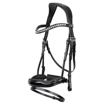 BR Trensenzaum Bolton