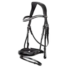 BR Trensenzaum Bolton