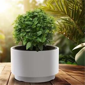 Prosperplast HEOS DLHEN470 46,5 x 46,5 x 29,5 cm Weiß