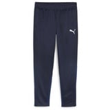 Puma teamGOAL Training Pant