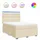 vidaXL Boxspringbett mit Matratze Creme 160x200 cm Stoff - Creme