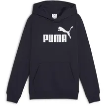Puma Hoodie Fleece Blau 164