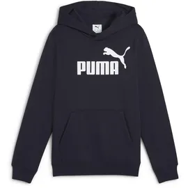Puma Hoodie Fleece Blau 164