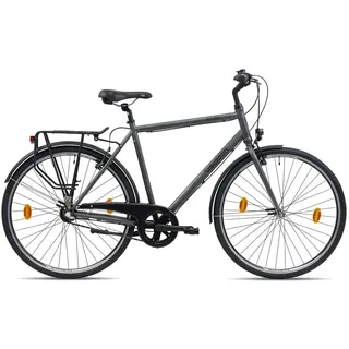 CHRISSON City One Urban Bike 28 Zoll Herren Fahrrad Damen 160 - 180 cm Trekking 3 Gang Shimano Nexus Nabenschaltung - praktisches Cityfahrrad für Männer