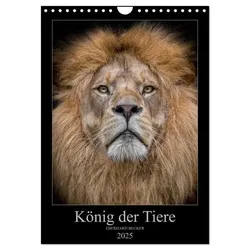 König der Tiere (Wandkalender 2025 DIN A4 hoch), CALVENDO Monatskalender