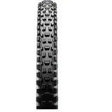 Maxxis Assegai EXO+TR