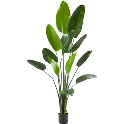 TecTake GmbH Künstlicher Paradiesvogelbaum Tropic, naturgetreu - 180 cm