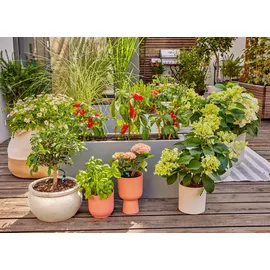 Gardena Micro Drip Tropfbewässerung Set 13400