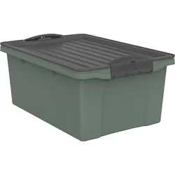 Rotho Aufbewahrungsbox Compact 13l Kunststoff Grün M (Medium)