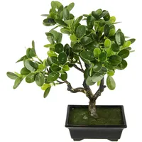 I.GE.A. Kunstbonsai »Ginseng-Bonsai« in Bonsaischale aus Kunststoff, grün