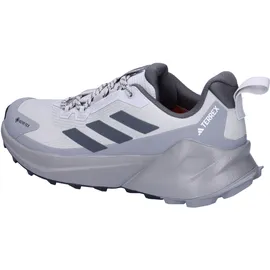 Adidas Terrex Trailmaker 2 Goretex Wanderschuhe Grey Two / Grey Six / Ch Solid Grey - EU 43 1/3